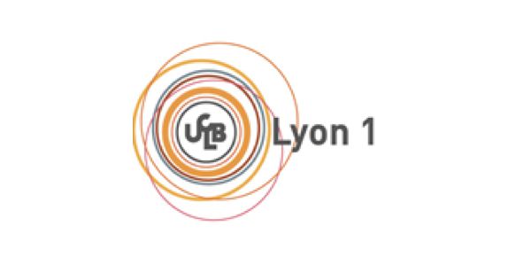 lion1